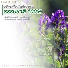 10x Real Elixir Alfa Chlorophyll Plus Natural Fiber Powder Drink Good Skin 100 g