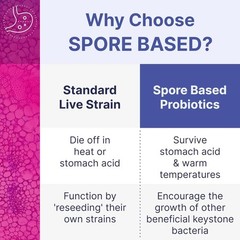 Mega Spore Biotic Formula | Spore-Based Probiotic for Digestive Health