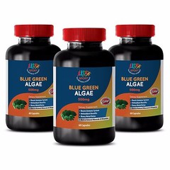 antioxidant and probiotic – ORGANIC BLUE GREEN ALGAE 500MG 3B – spirulina vegan
