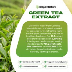 Green Tea 10:1 Extract 50% EGCG – Green Tea Liquid Drops – Vegan, 4X More Pow…