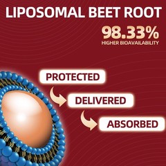 Beet Root Capules Beet Root Powder with Hawthorn Berry, CoQ10, Garlic Bulb, …