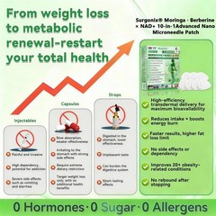 DR.HONOR Moringa Berberine NAD+ Weight Loss Patches Advanced Nano Microneedle