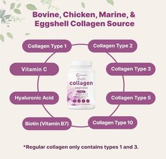MicroIngredients Multi-Collagen Complex 240 Caps – Types I II III V X Hydrolyzed