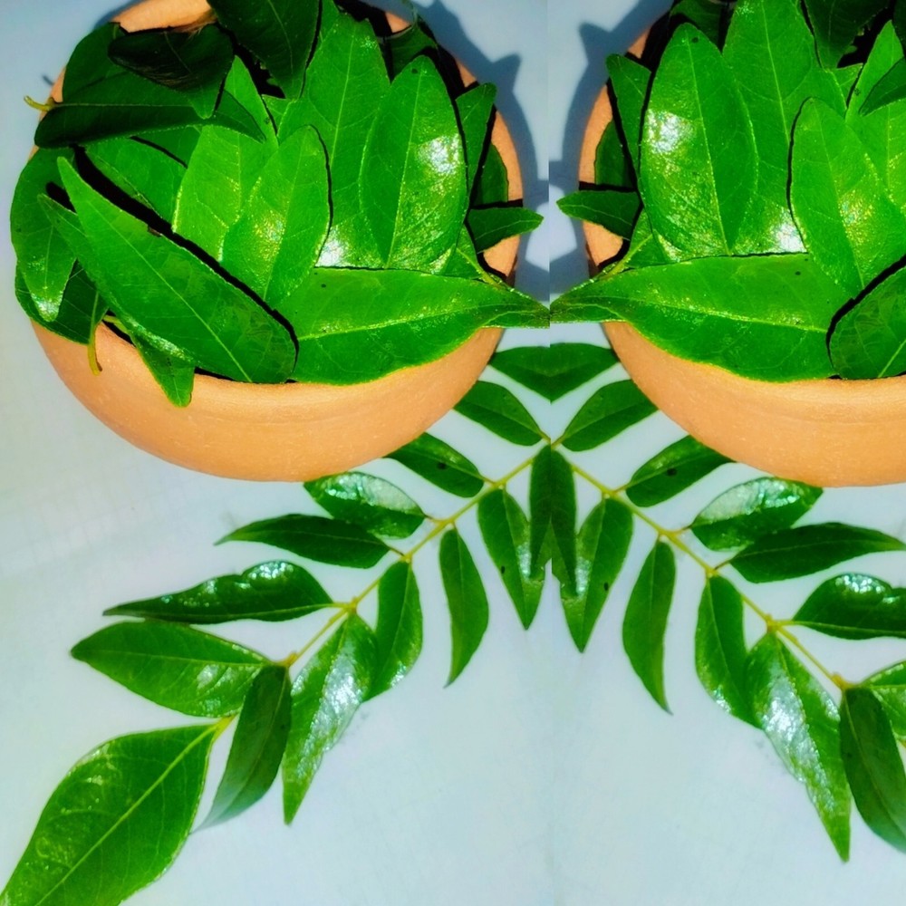 Lower cholesterol levels, promote help control blood sugar level – curry leaves