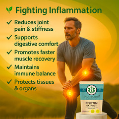 Fisetin Extract 550mg Capsules-(Strawberry Source & 160 μg/g) 100%Vegan-180Caps