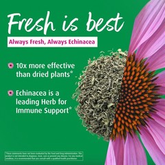 A Vogel Echinacea Immunity Support Tablets Organic 120 Count Easy To Swallow