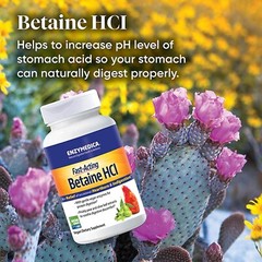 Enzymedica, Betaine HCl, 120 Capsules