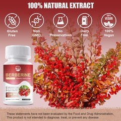 Berberine Capsules antibacterial clearing heat detoxify regulate intestines 60pc