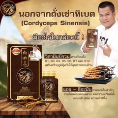 6 X Cordyceps Plus Multi Vit B Increase Sex Performance Healthy Anti-aging Halal