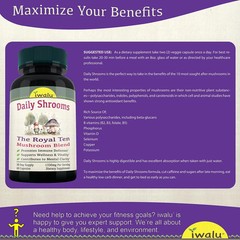 Chaga Supplement | Best Supplement Capsule Pill Men Women FREE SHIP