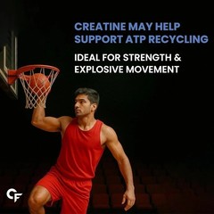 Creatine Micronized Monohydrate Powder | Unflavoured – 33 Servings – 103g c704