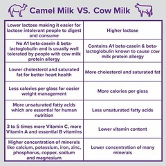 Camel Milk Powder Camelicious 1 Box 100% Natural – 24 sachets x 20g (480g) HALAL