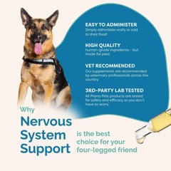 Holistic Herbal Nervous System Support Drops for Dogs and Cats – 2oz