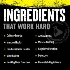 Universal Nutrition Animal Pak Powder Ultimate Foundation – Fruit Punch – 30