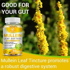 Mullein Leaf Capsules 1000mg – Support Lung Cleanse Respiratory Health Vegan US