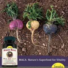 Organic Black Maca Benefits | Best Supplement Capsule Pill Men Women FREE SHIP