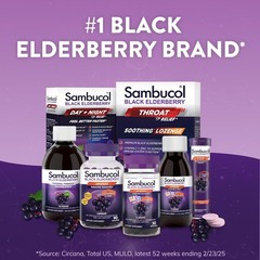Sambucol Black Elderberry Effervescent Tablets – 15 Count (Pack of 1)