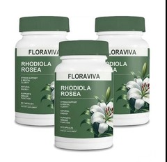 rhodiola rosea