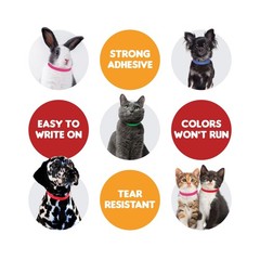 Max Premium Pet ID Collars – 20 Inch – 500 Count – Variety – Waterproof, Writ…