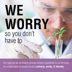 Solaray Andrographis Aerial Extract 300 mg | 30 Serv | 60 VegCaps