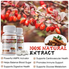 Berberine Plus Ceylon Cinnamon 1400 mg | 240 Capsules | Vegetarian