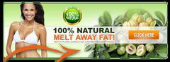 Increase Metabolism – GARCINIA CAMBOGIA Extract – strong diet 1 Bottle 60 Caps
