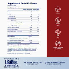 SNAP Nitric Oxide BOOSTER & Prostate Support CHEWS Sugarfree MADE IN THE USA