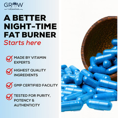 Alpha Lion Night Burn Nighttime Fat Burner Weight Loss Sleep Aid 90 Capsules New