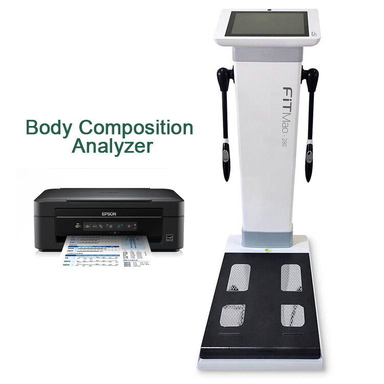 Professional Full Body Fat Analyzer Scanner Composition Analysis Machine FM280
