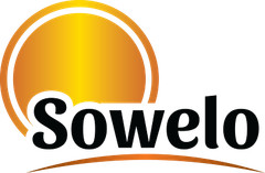 SOWELO BIOTIN VITAMIN B7 2500mcg TABLETS
