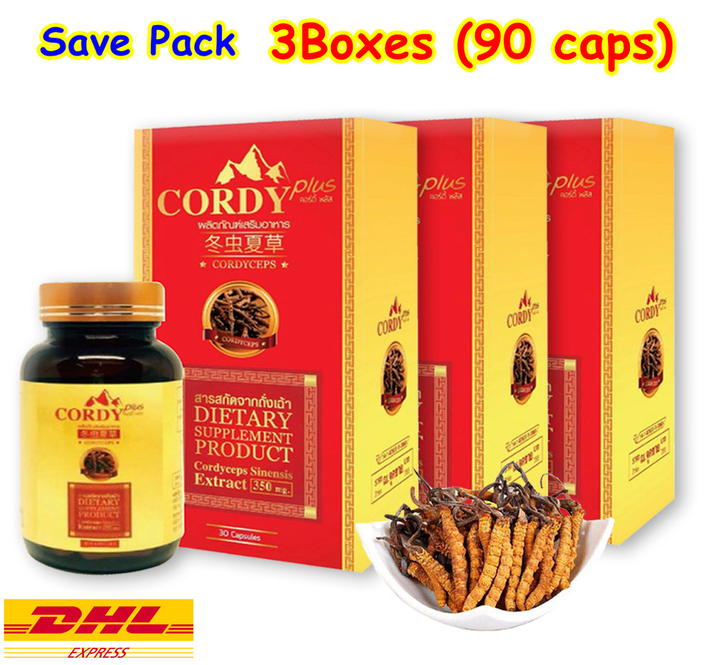 3X CORDY PLUS Capsule Tibetan Cordyceps Sinensis 350mg Immune Health DHL