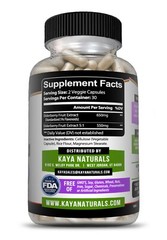 3X 60 count Immune Support, Elderberry capsule, Daily Immune and Antioxidants