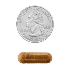 Spring Valley Maca 500mg Vegetarian Capsules General Wellness 90 Count