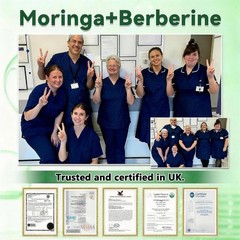 Moringa Moringa Berberine NAD+ Weight Loss Patches Advanced Nano Microneedle