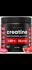 Nutra Champs Creatine Monohydrate Gummies Watermelon 120 Gummies 5000 mg