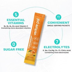 Sugar Free Electrolyte Powder Packets – Liquid Daily IV Drink Mix for Rapid Hydr