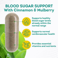Supreme, Blood Sugar Support Formula – 12 Bottles