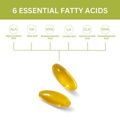 Youngevity EFA Plus 90-4 Pack Essential Fatty Acids Cardio Skin Health