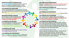 PRObiotics & PREbiotics for 60 days 12 strains 12 billion Vegan GOODFOR CHILDREN