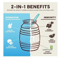 Taste Salud, Hydration + immunity Drink Mix, Horchata, 1.27 oz…..