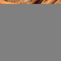 240 Organic Ceylon Cinnamon Capsules 1800mg Potency Blood Sugar Support Pills US