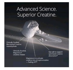 Qualia Creatine Advanced Complex 2 Sources + Magnesium Optimiz. B6