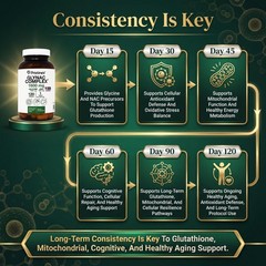 GlyNAC Supplement Complex Large Size Tablet 1600MG 120 Count (Pack of 1)