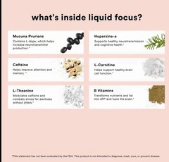 More Labs Liquid Focus, Nootropic Smart Drink 3.4 Fl Oz (Pack of 6), Berry