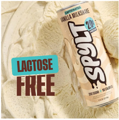 SPYLT High Protein Milk Vanilla 20g Protein 60mg Caffeine 12 Cans