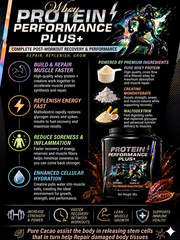 Protein Performance Plus+ 2lbs Ultra Blend! Faster Muscle Recovery – Hydration