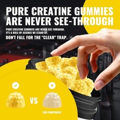 Certified Creatine Gummy 5g – Creatine Monohydrate Gummies – Pre-Workout Energy