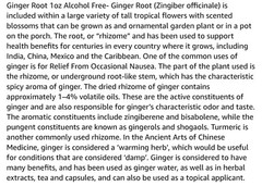 Nature’s Answer GINGER ROOT EXTRACT 1 fl. oz 1000mg ( 30 Servings ) FREE SHIP!