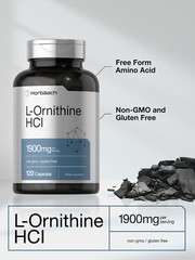 L Ornithine 120 Capsules | Non-GMO, Gluten Free Supplement | by Horbaach