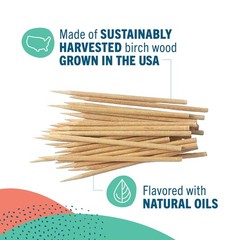 Preserve Toothpicks Refreshing Natural Mint Tea Tree Flavored Toothpicks for …